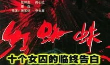 电视剧红蜘蛛第一部,权谋与爱情的纠葛